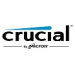 Crucial Logo