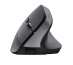 Trust Bayo+ souris Bureau Droitier RF sans fil + Bluetooth Optique 2400 DPI