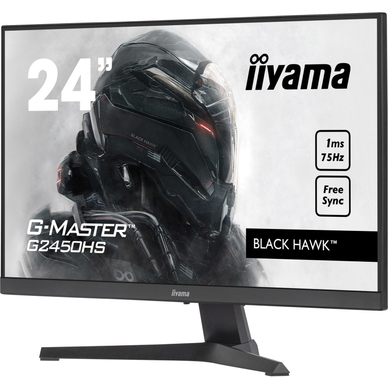 iiyama G-MASTER G2450HS-B1 écran plat de PC 60,5 cm (23.8") 1920 x 1080 pixels Full HD LED