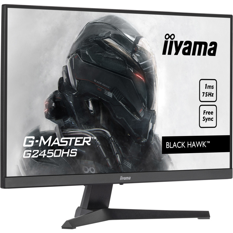 iiyama G-MASTER G2450HS-B1 écran plat de PC 60,5 cm (23.8") 1920 x 1080 pixels Full HD LED