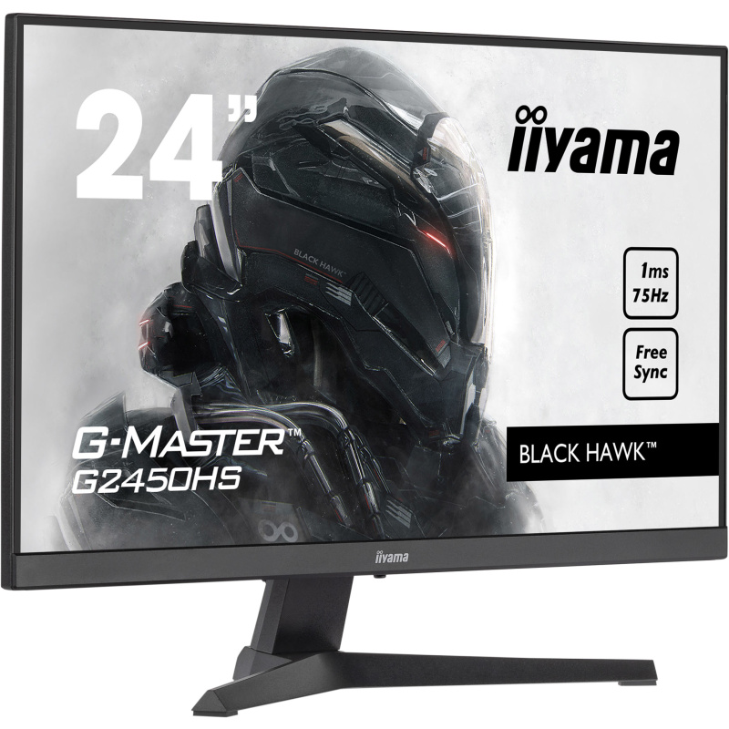 iiyama G-MASTER G2450HS-B1 écran plat de PC 60,5 cm (23.8") 1920 x 1080 pixels Full HD LED