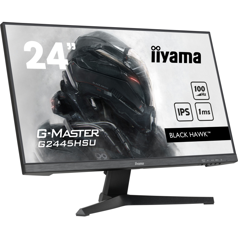 iiyama G-MASTER écran plat de PC 61 cm (24") 1920 x 1080 pixels Full HD LED Noir