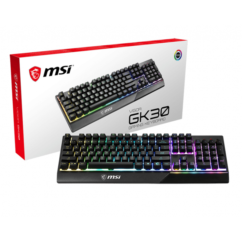 MSI VIGOR GK30 FR