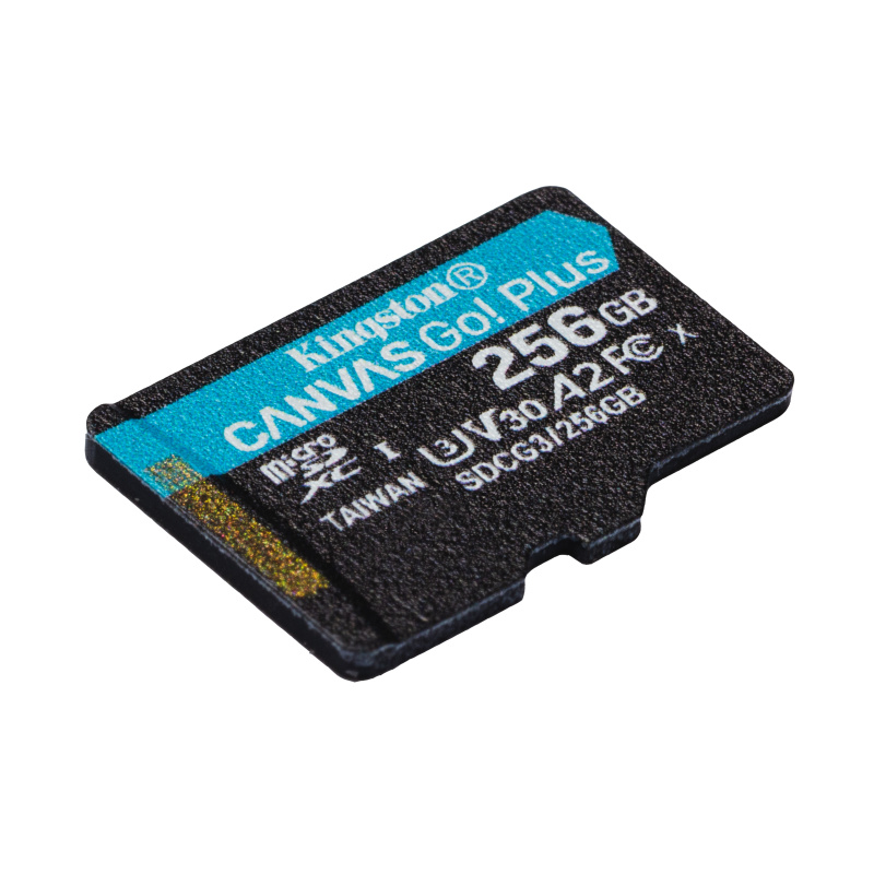 Kingston Technology Carte microSDXC Canvas Go Plus 170R A2 U3 V30 de 256 Go + ADP