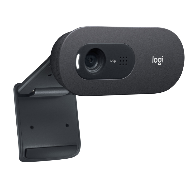 Logitech C505e webcam 1280 x 720 pixels USB Noir