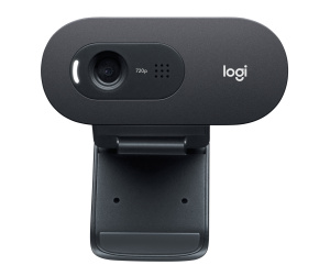 Logitech C505e webcam 1280 x 720 pixels USB Noir