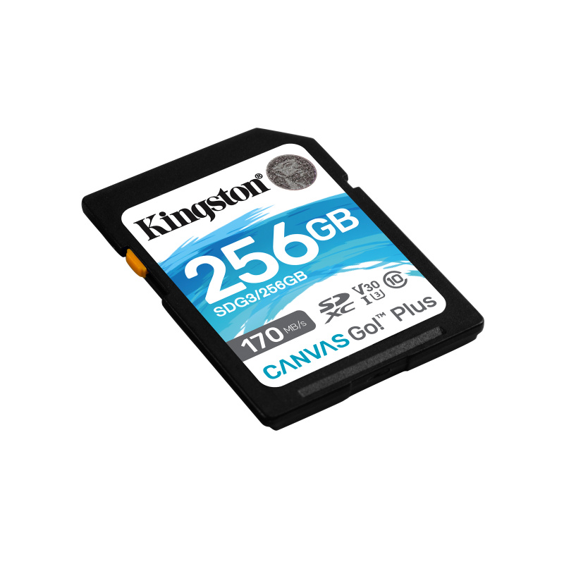 Kingston Technology Carte SDXC Canvas Go Plus 170R C10 UHS-I U3 V30 de 256 Go