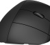 HP Souris verticale ergonomique 925