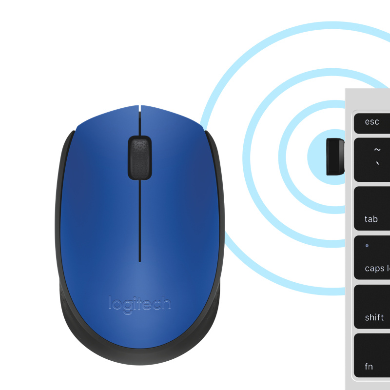 Logitech M171 Blue-K souris Bureau Ambidextre RF sans fil Optique 1000 DPI