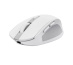 Trust Ozaa souris Bureau Droitier RF sans fil + Bluetooth Optique 3200 DPI